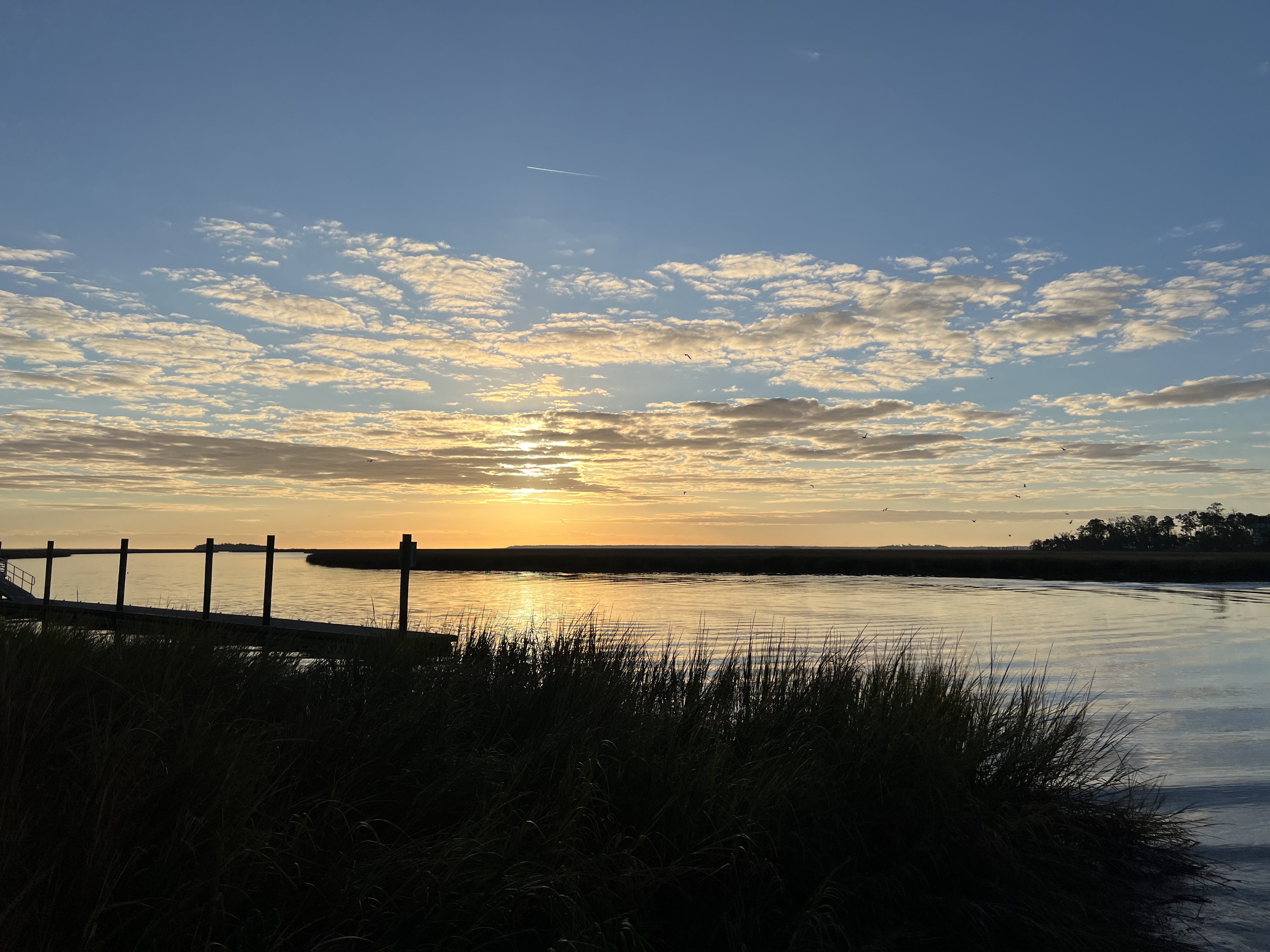 ./2025/13 - Thanksgiving/IMG_7853.JPG